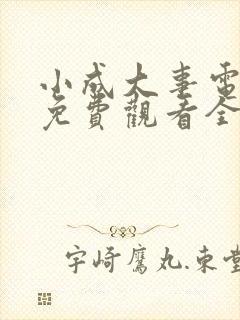 小成大事电视剧免费观看全集高清封面