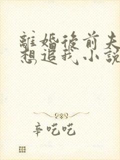 离婚后前夫总是想追我小说在线阅读