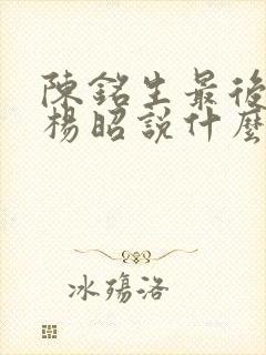 陈铭生最后想对杨昭说什么