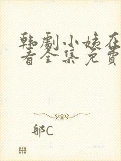 韩剧小姨在线观看全集免费