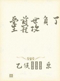 受前世负了攻重生宠攻