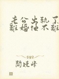 老公出轨了我想离婚他不离怎么办封面