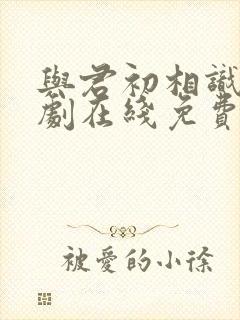 与君初相识电视剧在线免费观看全集