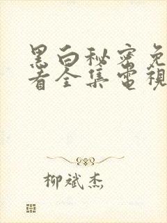 黑白秘密免费观看全集电视剧结局
