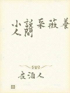 小说采薇养父在人间封面