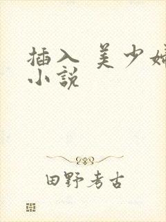 插入 美少妇 小说