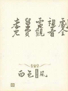 老舅电视剧高清免费观看全集