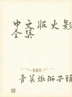 中文版火影忍者全集封面