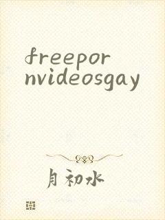 freepornvideosgay