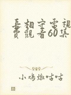 长相守电视剧免费观看60集电视剧