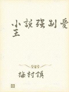 小说强制爱双男主
