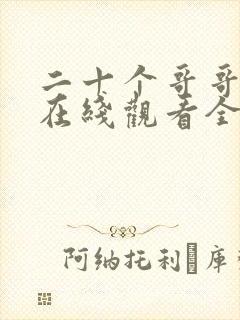 二十个哥哥动漫在线观看全集封面