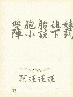 双胞胎姐妹齐上阵小说下载封面