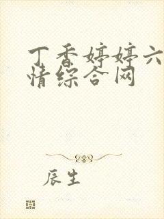 丁香婷婷六月激情综合网