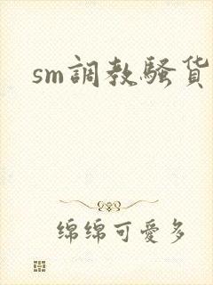 sm调教骚货