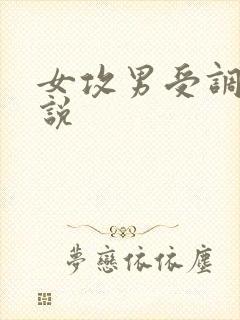 女攻男受调教小说