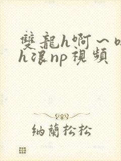 双龙h啊～嗯啊h浪np视频
