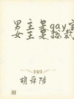 男主是gay家女主是总裁的小说推荐
