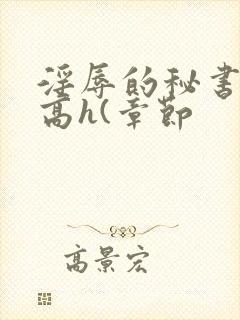 淫辱的秘书调教高h(章节