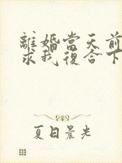 离婚当天前夫跪求我复合下载全本