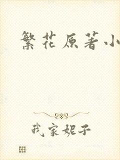 繁花原著小说