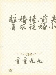 离婚后,前夫哭着求复婚小说免费阅读原文