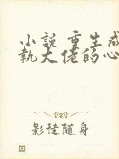 小说 重生成偏执大佬的心上人