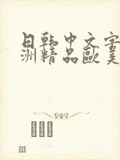 日韩中文字幕亚洲精品欧美