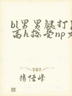 bl男男腿打开高h总受np文封面