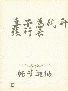 妻子为我升职和张行长封面