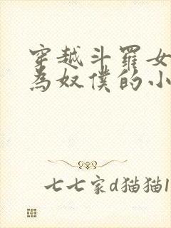 穿越斗罗女人变为奴仆的小说