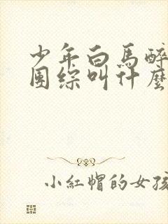 少年白马醉春风团综叫什么