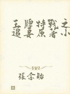王牌特战之军少追妻原著小说封面