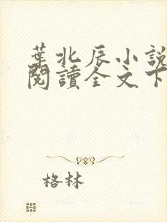 叶北辰小说免费阅读全文下载最新