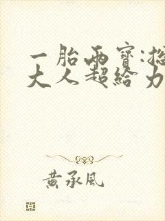 一胎两宝:总裁大人超给力全文观看封面