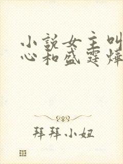 小说女主叫初之心和盛霆烨