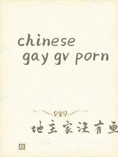 chinese gay gv porn封面