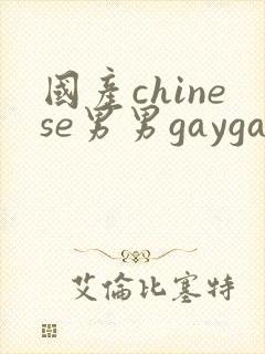 国产chinese男男gaygay在线