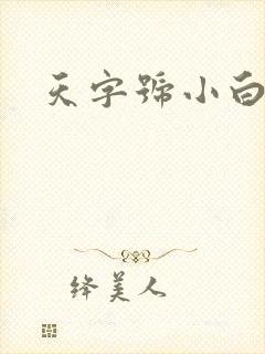 天字号小白脸封面