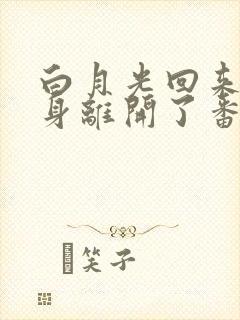 白月光回来后替身离开了番外封面