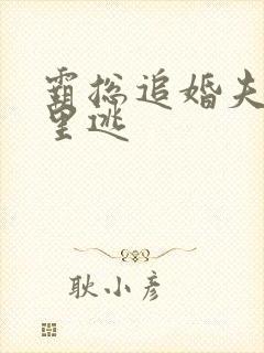 霸总追婚夫人哪里逃