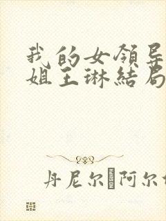 我的女领导们陈姐王琳结局封面
