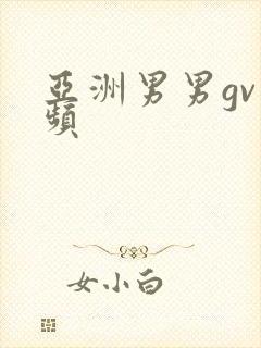 亚洲男男gv视频