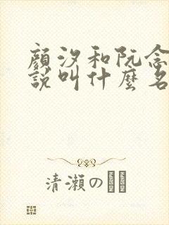 颜汐和阮念初小说叫什么名字