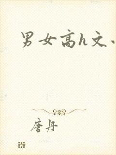 男女高h文小说