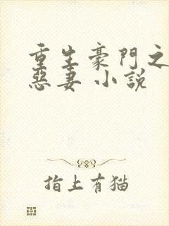 重生豪门之独宠恶妻 小说