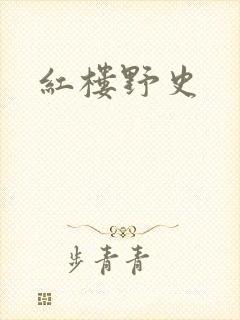 红楼野史封面