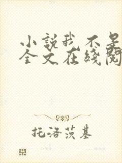 小说我不是戏神全文在线阅读