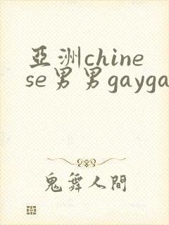 亚洲chinese男男gaygay网站