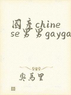 国产chinese男男gaygay 网站封面